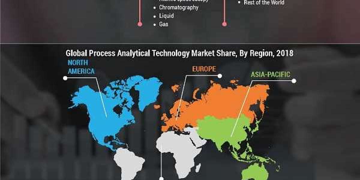 Process Analytical Technology Market Demand Insight, Competitive Landscape and Market Forecast, 2028