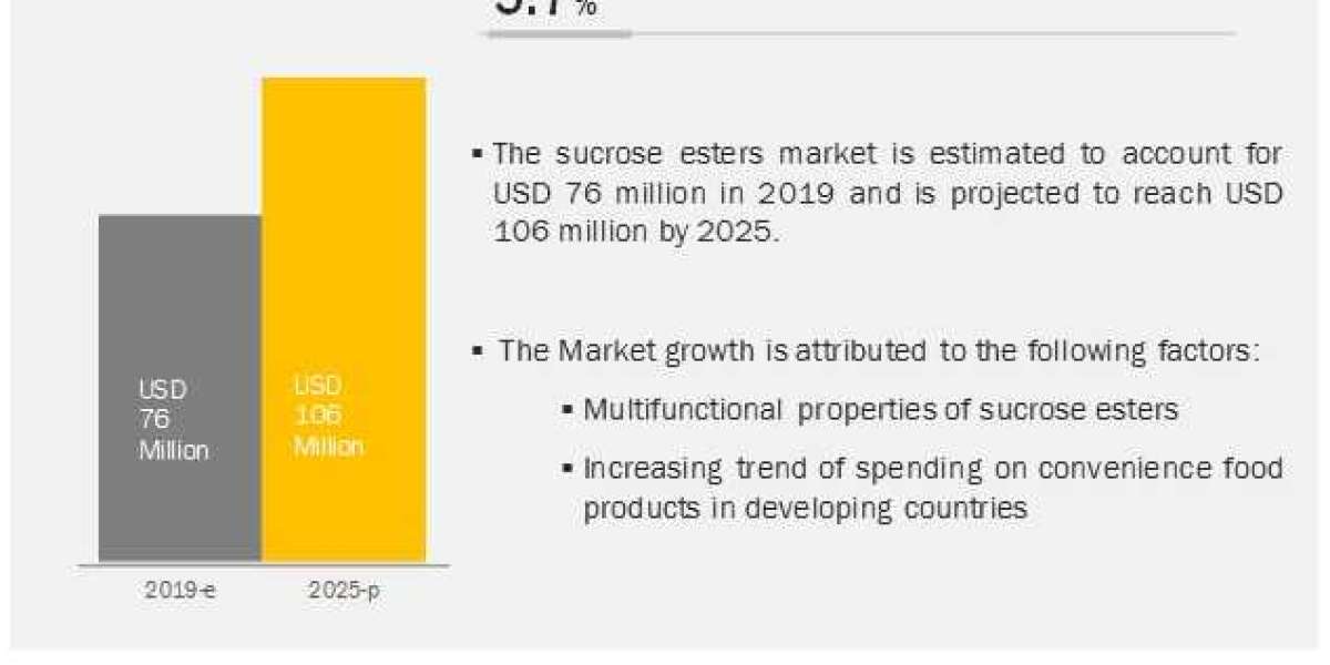 The Future of the Sucrose Esters Industry: Interesting Highlights and Industry Analysis