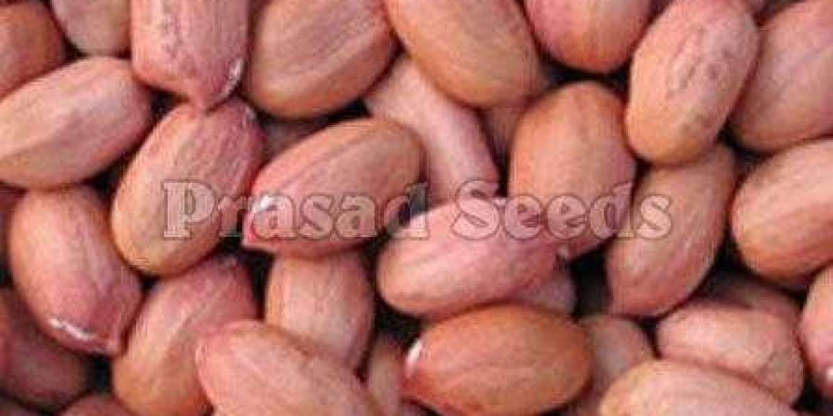 A Complete Guide Explaining The Benefits Of Groundnuts