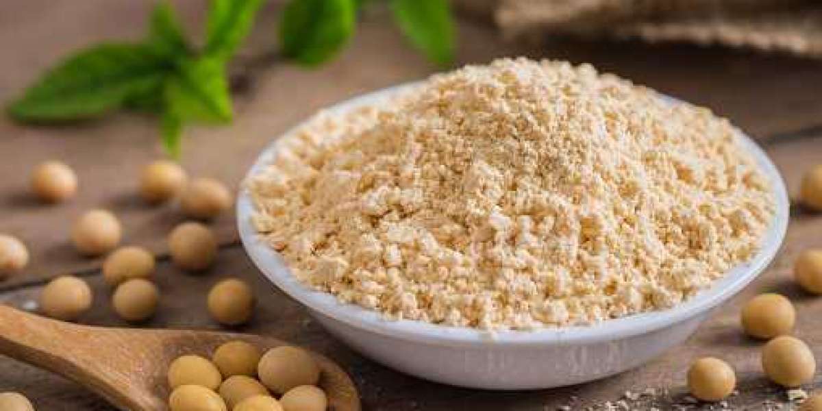 Organic Soymeal Market Research Report, Growth Trends and Competitive Analysis 2020-2027