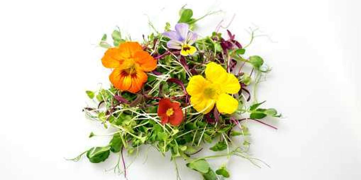 Eating Flowers Market Analysis Revenue, Share, Forecast, Top Companies with Regional Overview