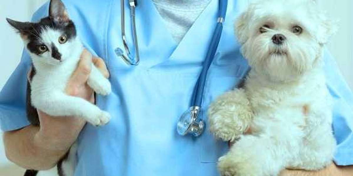 Veterinary Diagnostics Market 2021-2026: Industry Size, Share, Trends and Forecast