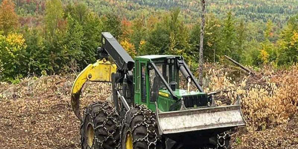 Timber Harvesting: why must you rely on professionals?
