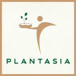 Plant Asia profile picture