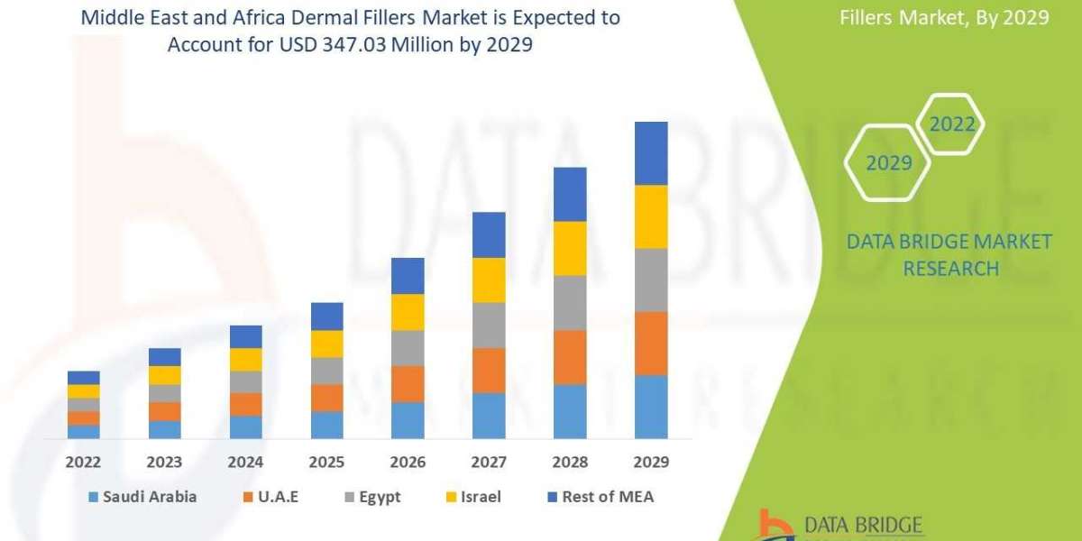 Middle East and Africa Dermal Fillers Market Development