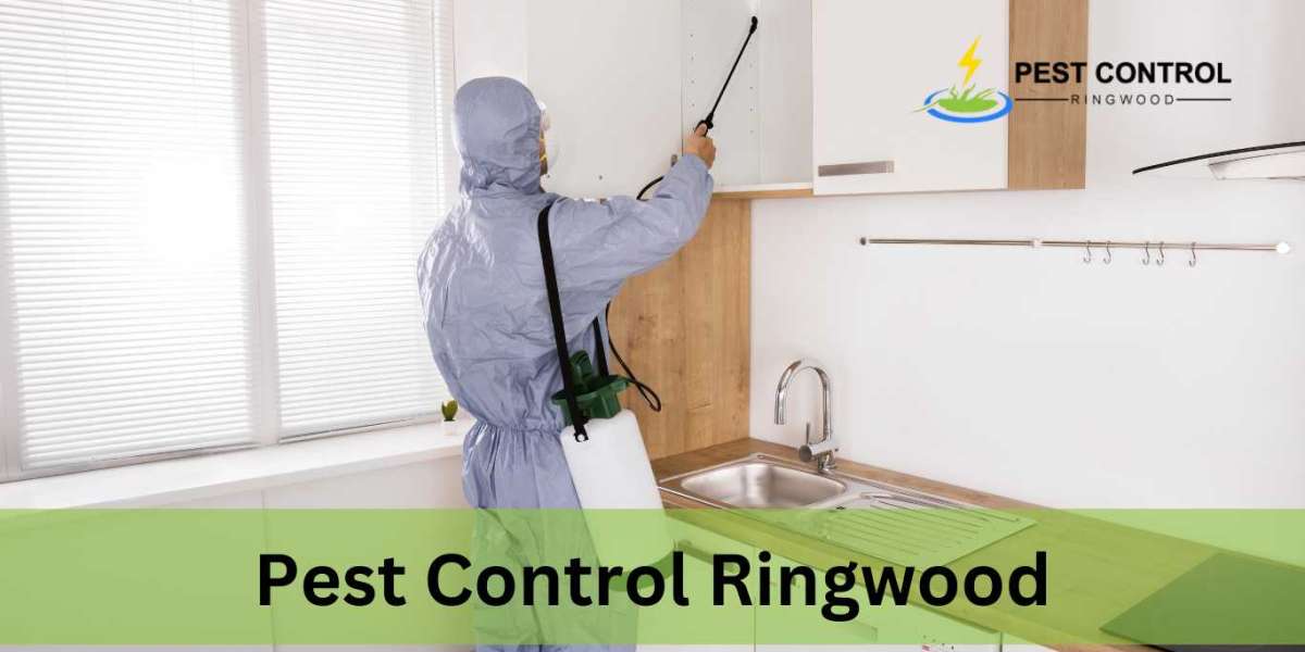 Pest Control: A Comprehensive Guide To Protecting Your Home From Unwanted Guests