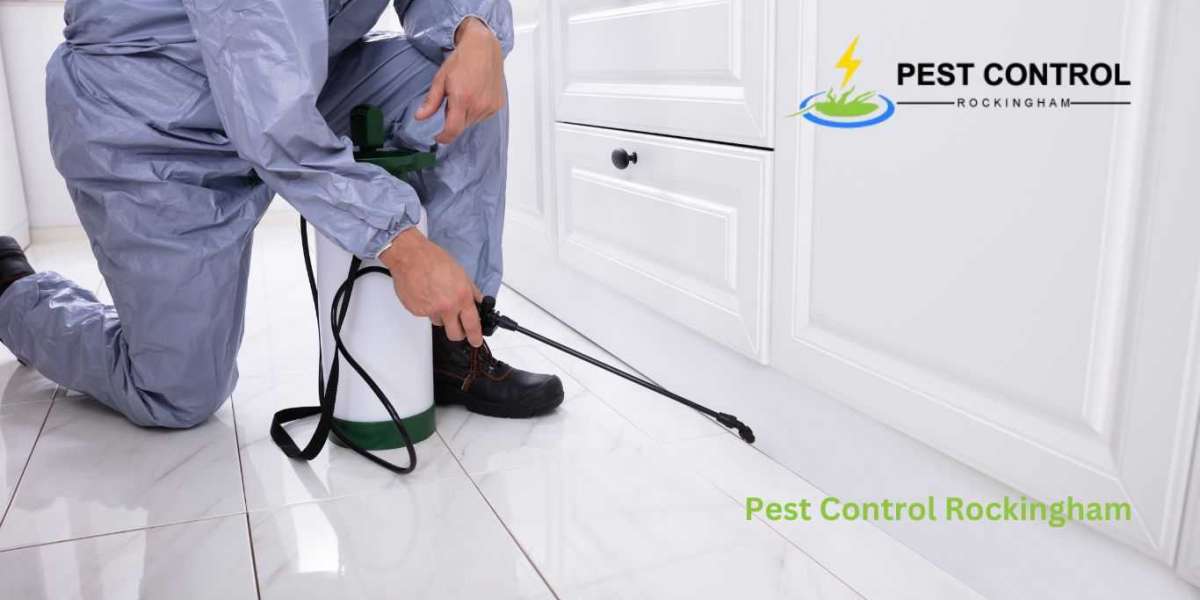 7 of the Best Pest Control Products To Get Rid Of Bugs In Your Home