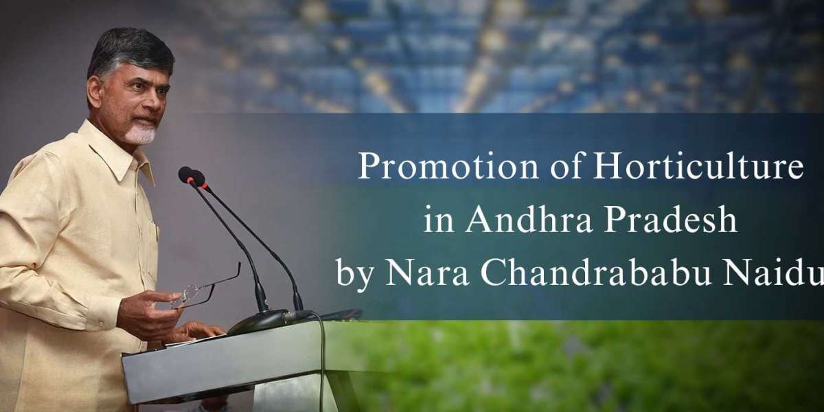 Promotion of Horticulture in Andhra Pradesh By Nara Chandrababu Naidu
