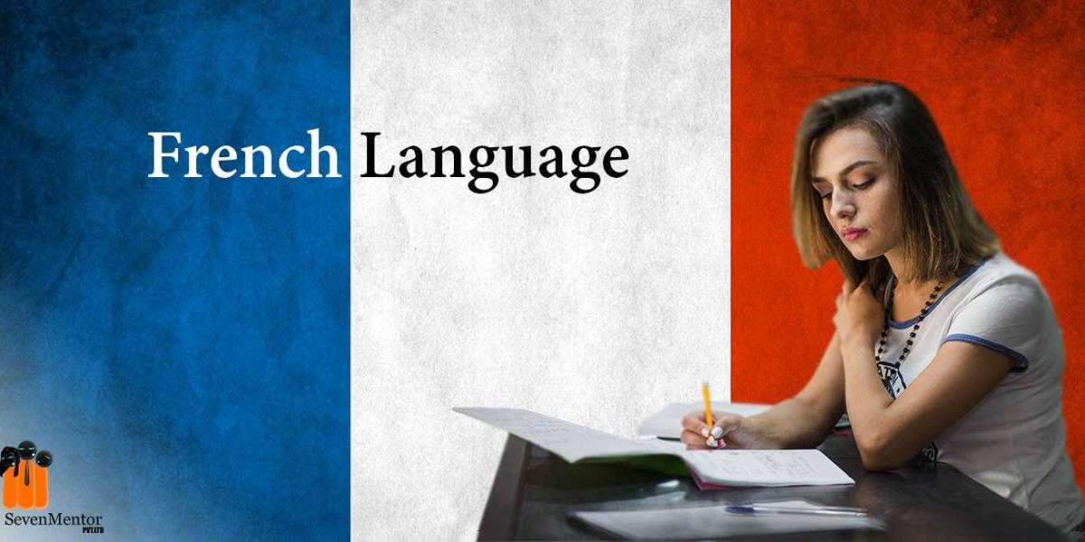 What are the most common French phrases for greeting someone?