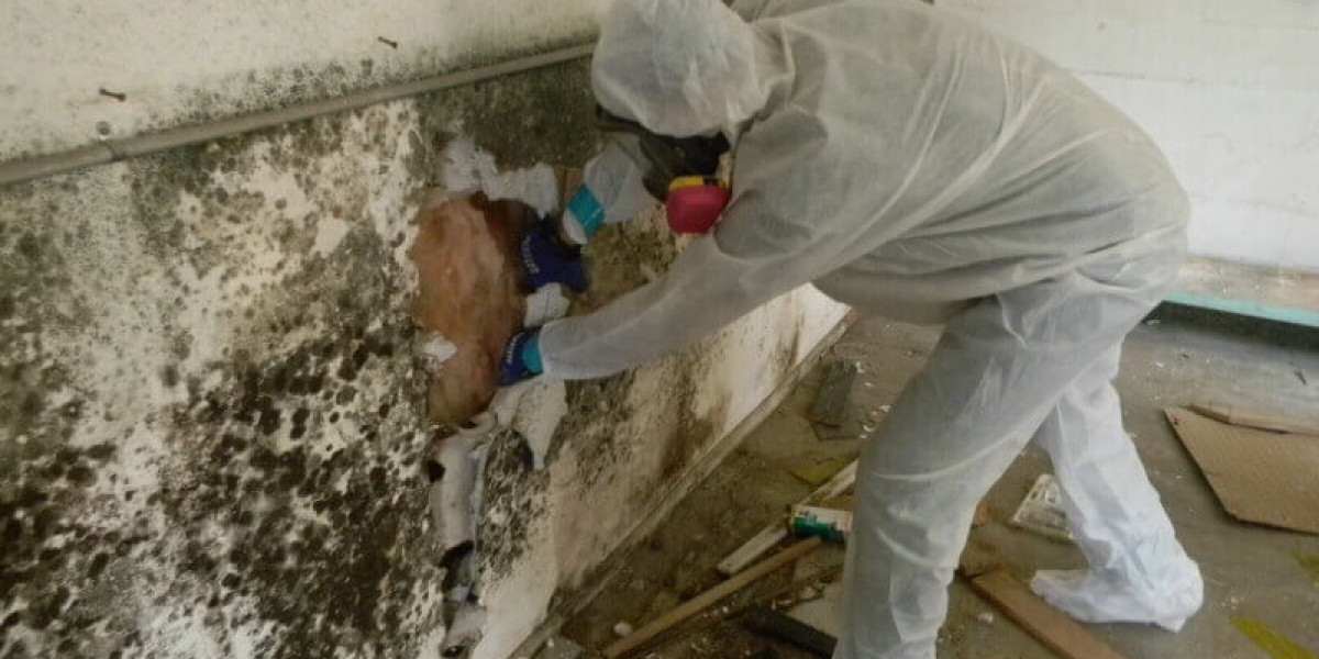 Why is it Crucial To Hire Experts For Effective Mold Removal?