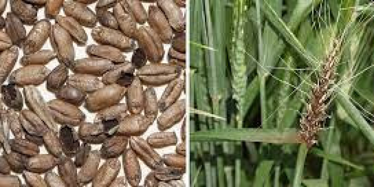 Seed Treatment Fungicides Market Growth Factors till 2029