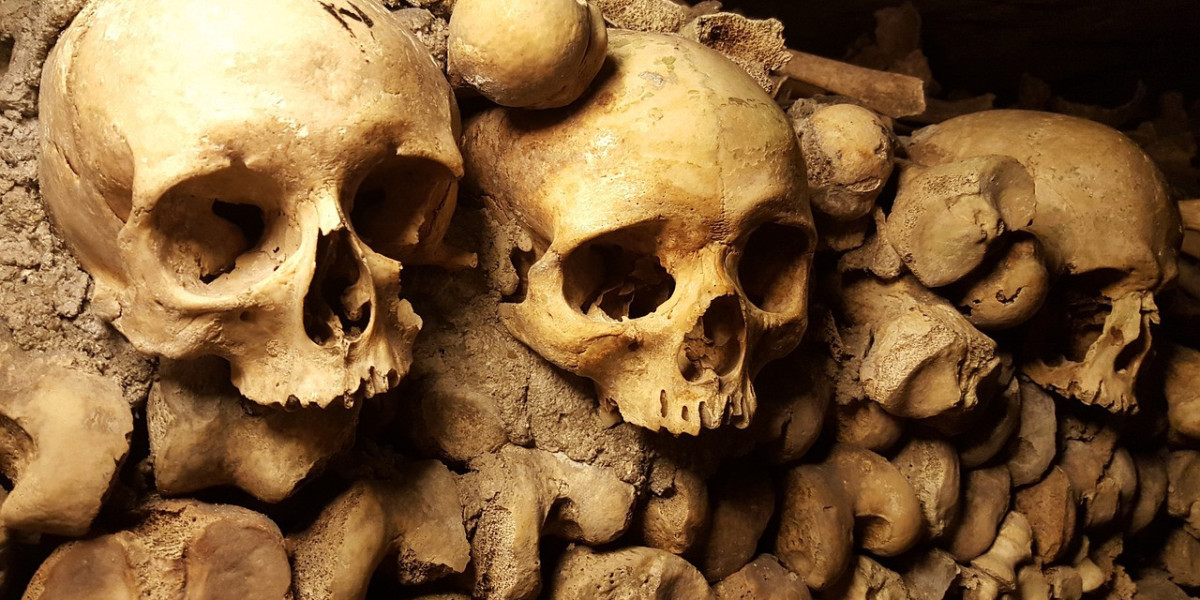 Chasing Shadows: The Spooky Tales And Legends Of The Catacombs