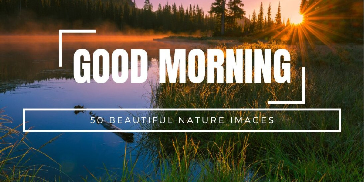 Embrace the Beauty of Nature: Inspire Your Mornings with Gorgeous Good Morning Images
