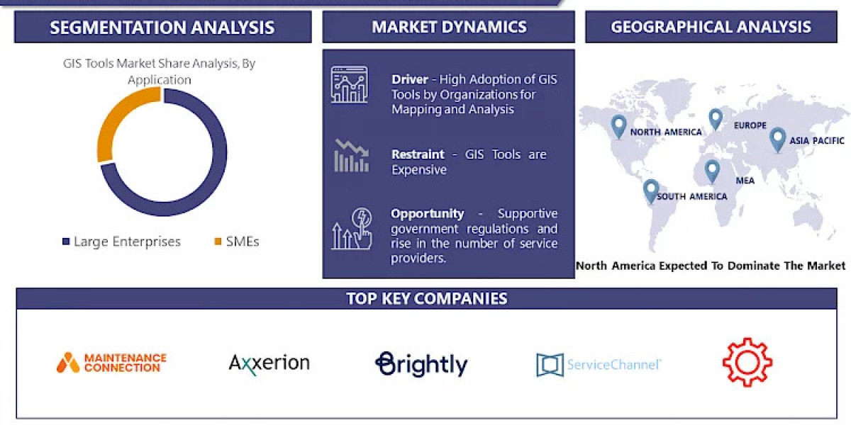 Geographic Information System Tools Market Worldwide Opportunities, Driving Forces, Future Potential 2030- Exclusive Mar