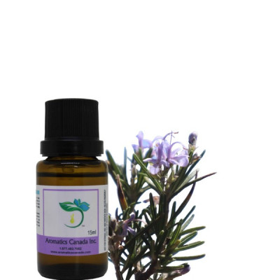 Rosemary Essential Oil Profile Picture