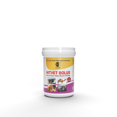 Hitvet - Reproductive Bolus for Animals by Niceway India Profile Picture