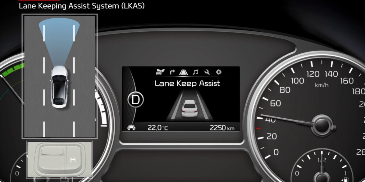 Future Prospects and Market Dynamics of the Lane Keep Assist System Market