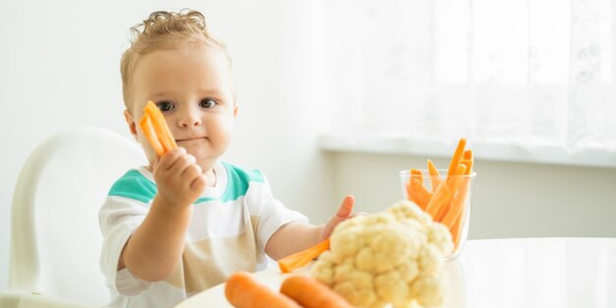 Growth Unwrapped: Decoding the Future of the Baby Food Market and Beyond