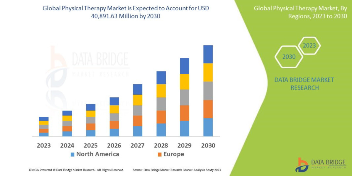 Physical Therapy Market Size, Share, Industry Trends, Regional Analysis, Demand and Top Players