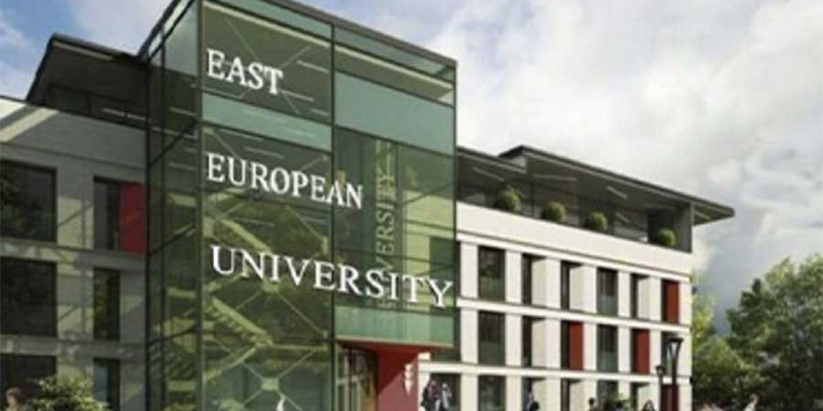 East European University