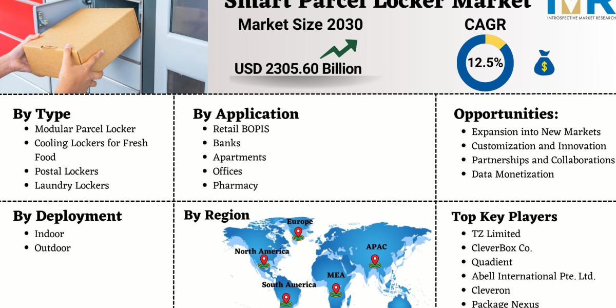 Global Smart Parcel Locker Market to Exhibit a Remarkable CAGR of 12.5% by 2030 | IMR