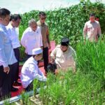 indonesia to become global food estate, president prabowo says