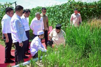 indonesia to become global food estate, president prabowo says