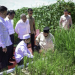 presiden prabowo: indonesia jadi lumbung pangan dunia