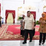 terima audiensi pp muslimat nu, presiden prabowo apresiasi program muslimat nu