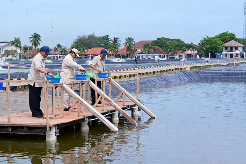 presiden prabowo tinjau kawasan bluppb karawang, dorong swasembada pangan dan ekonomi biru