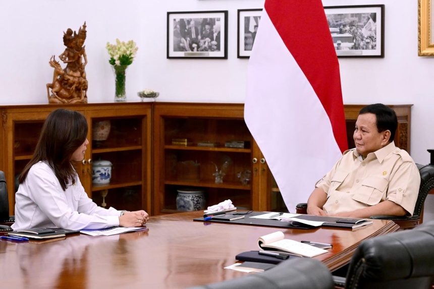 president prabowo subianto shows concern on digitalization, e-government in meeting with minister