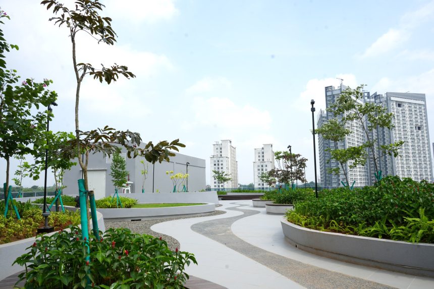 president jokowi designates two new sezs to bolster education, healthcare