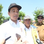 soal perpindahan asn ke ikn, presiden jokowi: setelah fasilitas siap
