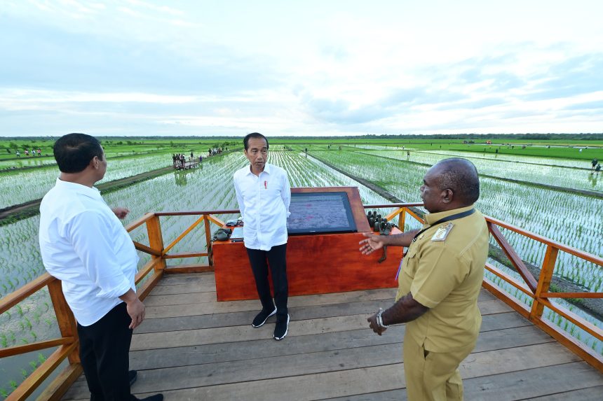 presiden jokowi dan ibu iriana tinjau simulasi drone tabur pupuk di papua selatan