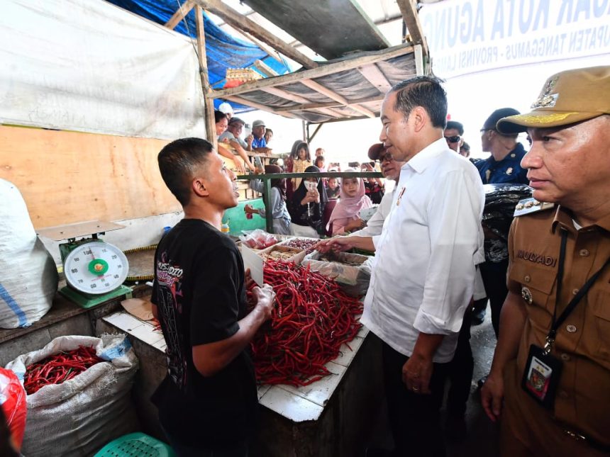 presiden jokowi tinjau pasar kota agung, cek harga dan berikan bantuan modal kerja