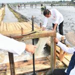 presiden jokowi tinjau pompanisasi di lampung selatan, dorong produktivitas pertanian