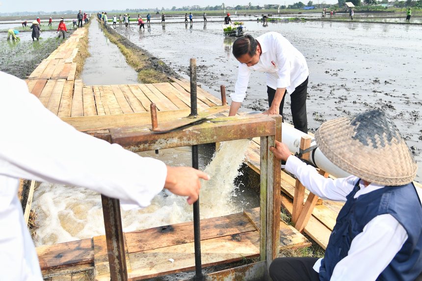 presiden jokowi tinjau pompanisasi di lampung selatan, dorong produktivitas pertanian