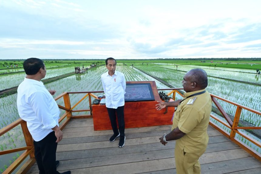 president jokowi, first lady iriana inspect fertilizer-spreading drone simulation in s. papua