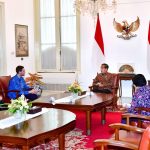 presiden jokowi terima delegasi menteri iklim dan lingkungan hidup norwegia di istana merdeka
