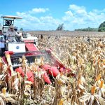 president prabowo asserts indonesia’s readiness to become global food estate
