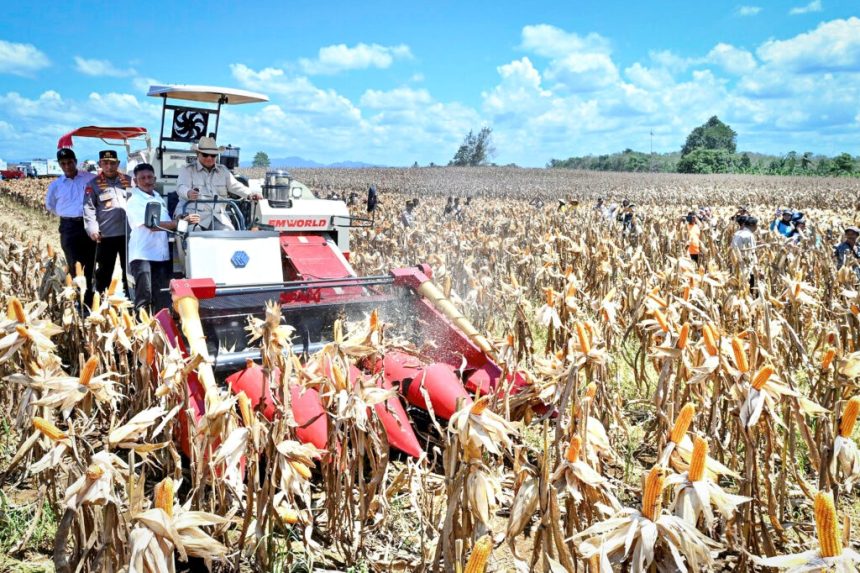 president prabowo asserts indonesia’s readiness to become global food estate