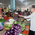 tinjau pasar di kotawaringin timur, presiden jokowi pastikan harga baik dan stabil