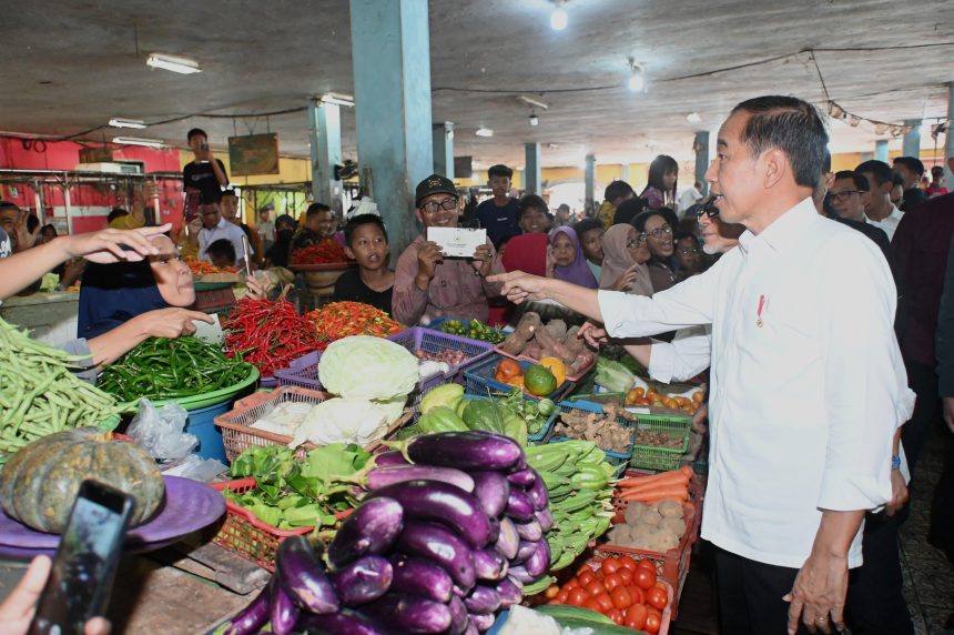 tinjau pasar di kotawaringin timur, presiden jokowi pastikan harga baik dan stabil