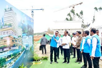 presiden jokowi minta optimalkan pemanfaatan energi hijau di ikn