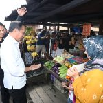 presiden jokowi cek harga di pasar pata katingan