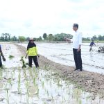 respons potensi kekeringan panjang, presiden tinjau pompanisasi di kotawaringin timur