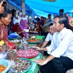presiden jokowi tinjau stabilitas harga di pasar lacaria jelang iduladha