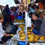 kunjungi pasar laino raha, presiden jokowi disambut lautan masyarakat muna
