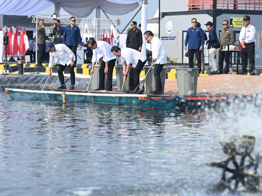 resmikan modeling tambak ikan nila, presiden: permintaan global sangat besar