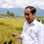 presiden jokowi apresiasi kemenangan telak timnas indonesia atas vietnam